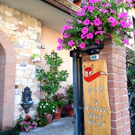 Il Ritrovo Delle Volpi Bed & Breakfast Agerola Eksteriør bilde