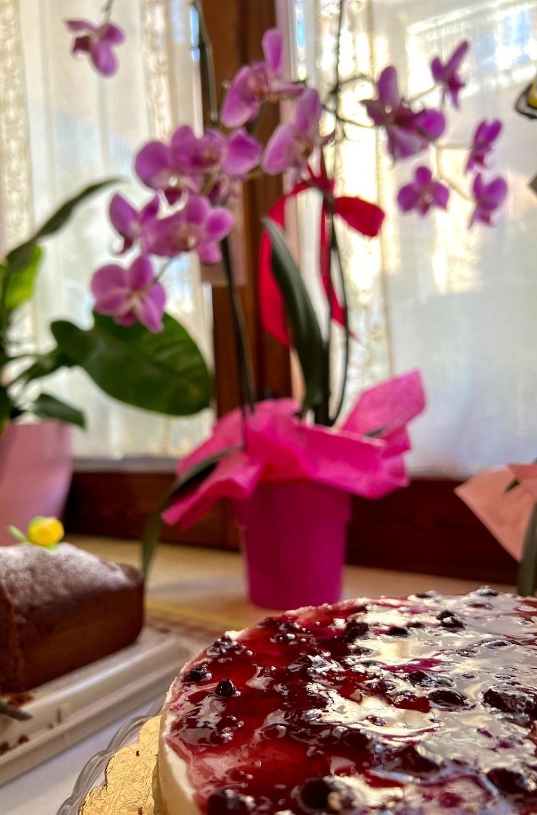 Il Ritrovo Delle Volpi Bed & Breakfast Agerola Eksteriør bilde