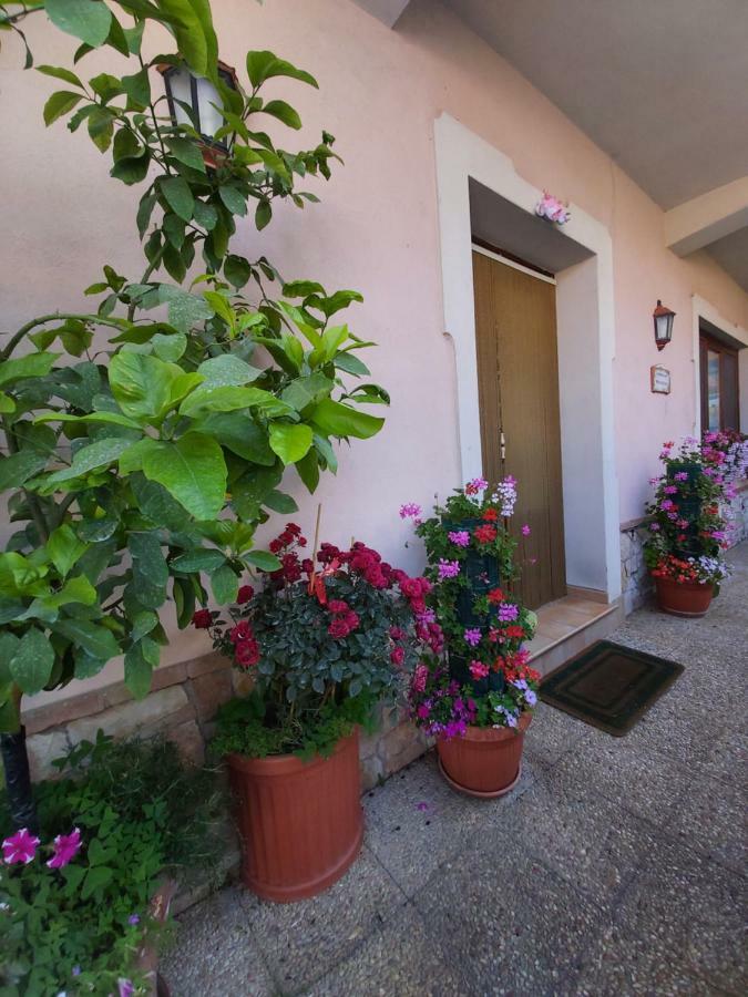 Il Ritrovo Delle Volpi Bed & Breakfast Agerola Eksteriør bilde